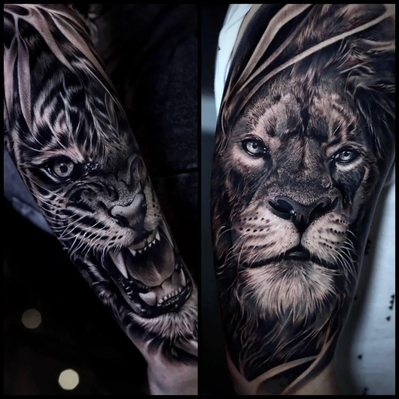 Realismus-Tattoo: Löwenmotiv in Black & Grey.