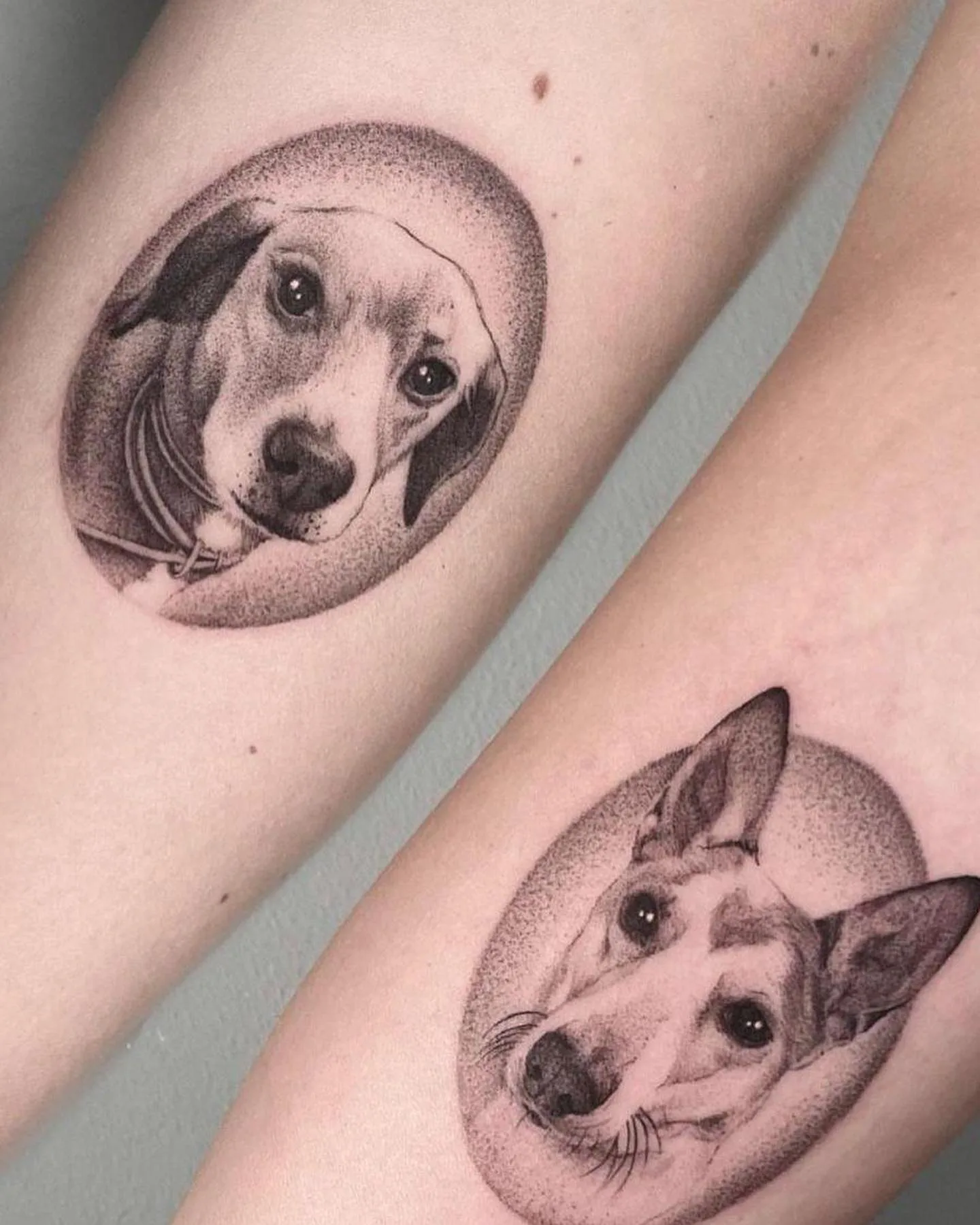 Veröffentlichte kleine Tattoo-Arbeit 4 von Blood Diamond.
